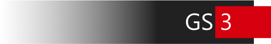 gs3