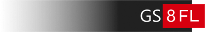 gs8